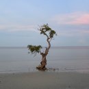 수노을주유소 이미지