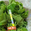 무지개농장2 이미지