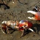 형수농장 이미지