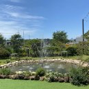 데스파시토 이미지