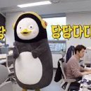 신주포레
