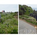 그냥,점례 이미지