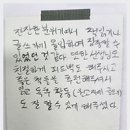 더 자라다 이미지