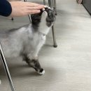 우리 열무 자랑 🐱