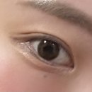 위드미 민락타운점 | 렌즈타운 247위드미 브라운 원데이 솔직후기