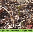 주아목장 이미지