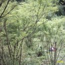 영팔농장 이미지