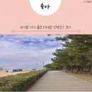 다대포어린이집 | 아기랑 가기 좋은 다대포 해수욕장 산책코스 후기