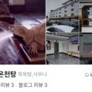 매일온천탕 이미지