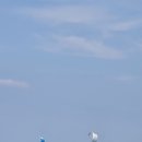 춘장대해수욕장 이미지