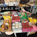 울산 슬랑이 성지 무인소품샵 포레스트 샤인 크런치 슬랑이 구매 후기