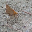 모둘자리 이미지