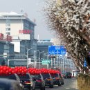 장백산로 이미지