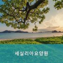 세실리아 요양원 이미지