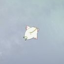 조이럭 이미지