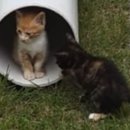 고집불통 이미지