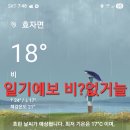 심봤다약초