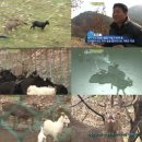 활보농장 이미지