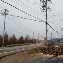 라온(RAON) 이미지