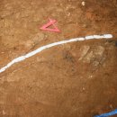 창원 내동패총 이미지