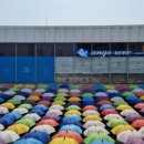 앙쥬레브 애견호텔&애견유치원 송도점 이미지