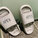 APEX GYM | 2023. 10. 18 에이펙스짐 PT 1회차