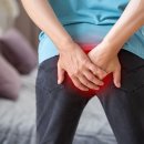 일산병원 정류장 이미지