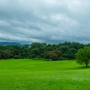 초원의 빛 이미지