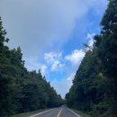 강정동-47 | 청주 미친만두 테이크아웃 롯데리아 서귀포혁신점 2차 식사후기