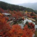 삼성궁 이미지