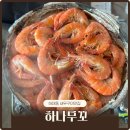 하대동267 | 진주 하대동 술집 신선한 새우구이 먹고 온 하나무꼬 후기