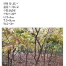 웅이네 농장 이미지