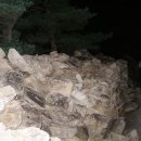 박곡천 Daum카페