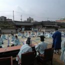 영월군 문화예술회관 이미지