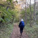 구로-구로-구로-2366 이미지