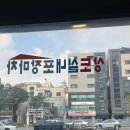 보라포장마차 | 상도맛집 '상도실내포장마차' 오징어통찜 내돈내산 후기