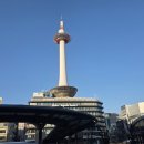 차없는거리 문화로 채우다(1차) | [일본 교토여행 3일차] 교토역 웨이팅 필수 초밥 맛집 스시사카바 사시스 교토 요도바시점 방문 후기