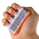 비엘스키 이미지