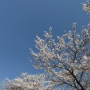 셀린b | 내가 찾던 분위기! 결국 여기로 결정한 이유 (스튜디오 셀린 계약 후기)ㅣ웨딩 플래너 없이 결혼 준비하기ෆ