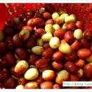 도진농장 이미지