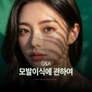 리즈모의원 - 서구 대덕대로 226 | 당리역 비절개모발이식, 수술 전 꼭 알아두면 좋은 이야기들