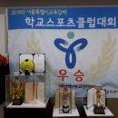 해성스포츠 이미지