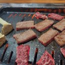 우가미가 이미지