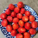 청해활어회센타 | 롯데리아 에그샐러드번콤보, 홍흥집 소머리국밥, 딸기, 제이델링 홍성점 딸기폭탄케이크, 청해활어회센타 )