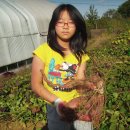 병구농장 이미지