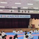 용인대 대호 태권도 이미지