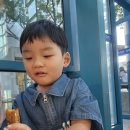 동래문화회관 대극장 | 동래문화회관 대극장 아기돼지삼형제 후기