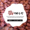 윤정희농장 이미지