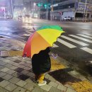 부천시립예술단 BICOF와 함께하는 부천시민의날 | 조카와 함께 부천시민회관 부천필하모닉오케스트라 클래식 명곡과 함께하는 신년음악회 관람후기