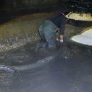 와이디에스 이미지